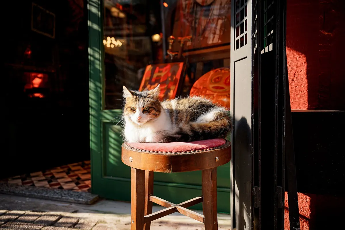 DIY Decor: Upcycle a Charity Shop Wooden Stool with Chalk Paint and Indigo Wax